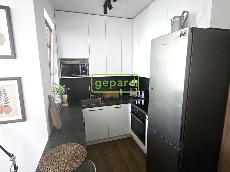 Pronájem bytu 3+kk 55 m² - foto 3