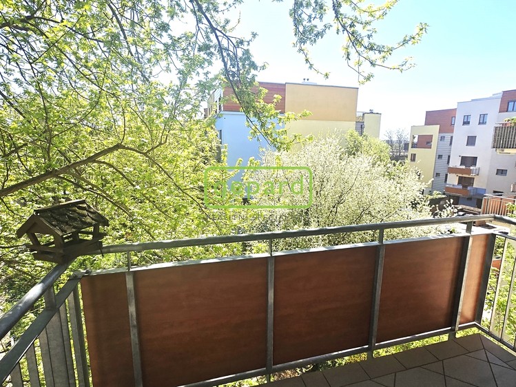 Pronájem bytu 3+kk 55 m² - foto 5