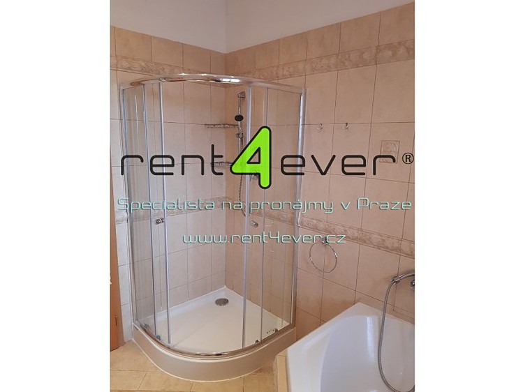 Pronájem bytu 2+1 114 m² - foto 4