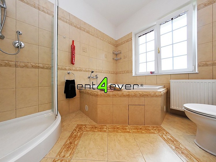 Pronájem bytu 2+1 114 m² - foto 5