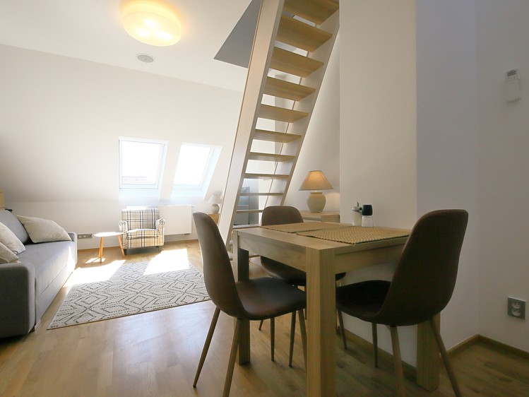 Pronájem bytu 1+kk 31 m² (Podkrovní) - foto 8