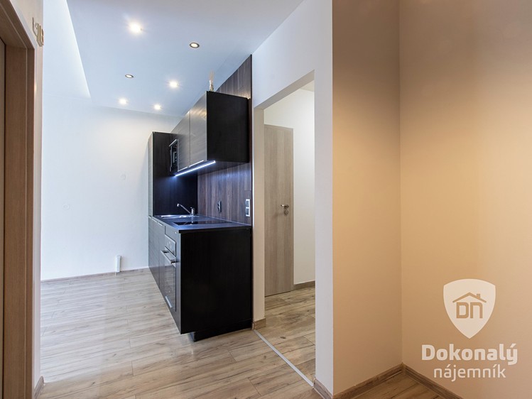 Pronájem bytu 2+kk 54 m² - foto 4