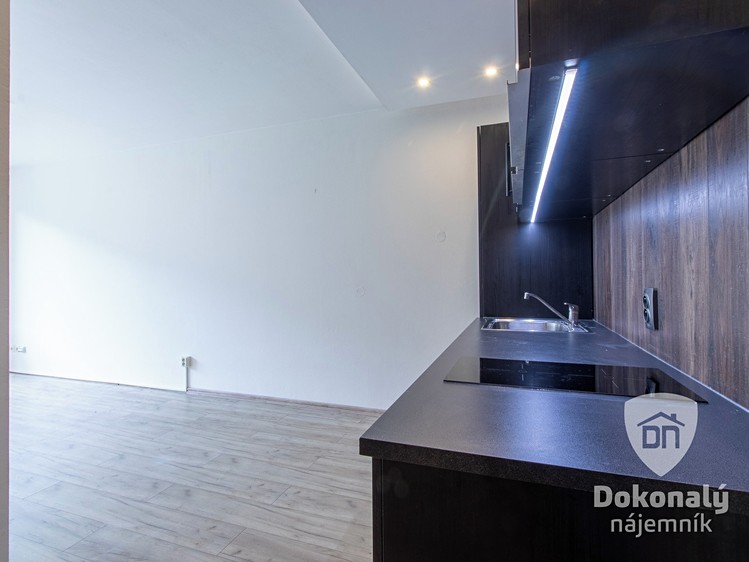 Pronájem bytu 2+kk 54 m² - foto 6