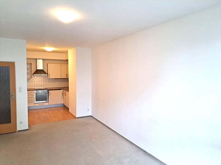 Pronájem bytu 2+kk 56 m² (Jednopodlažní) - foto 4