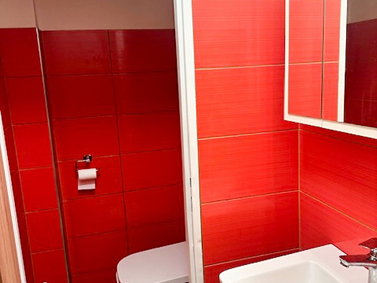 Pronájem  pokoje 16 m² (Jednopodlažní) - foto 8