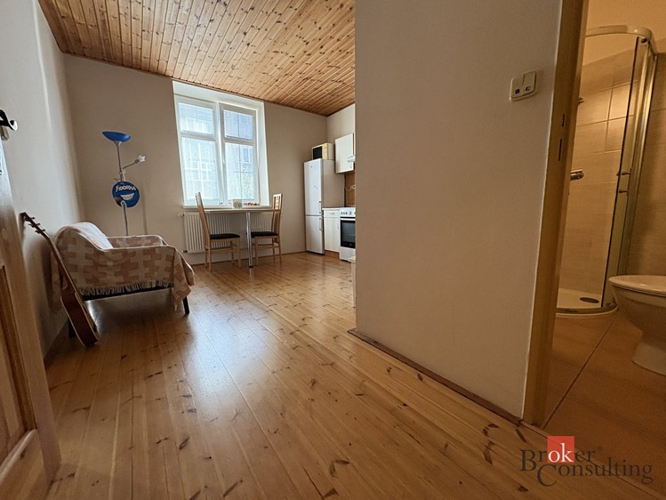 Pronájem bytu 2+kk 50 m² - foto 6