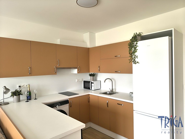 Pronájem bytu 1+kk 36 m² - foto 3