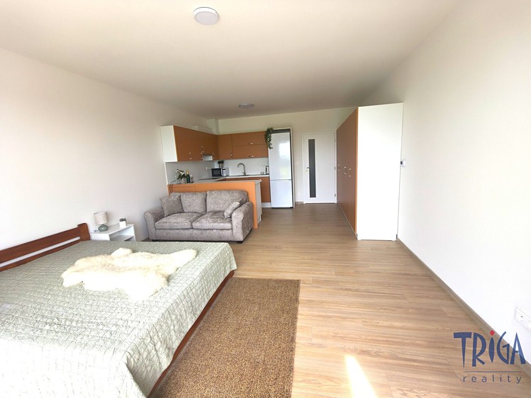 Pronájem bytu 1+kk 36 m² - foto 8