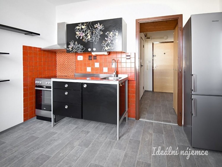 Pronájem bytu 1+1 39 m² - foto 4