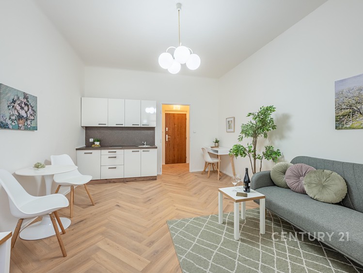 Pronájem bytu 1+kk 25 m² - foto 1