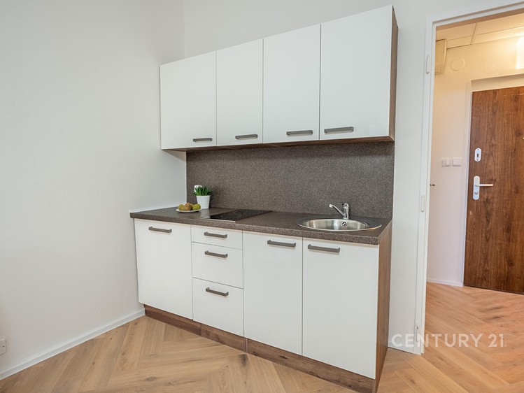 Pronájem bytu 1+kk 25 m² - foto 3