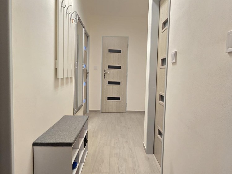 Pronájem bytu 3+1 66 m² (Jednopodlažní) - foto 3