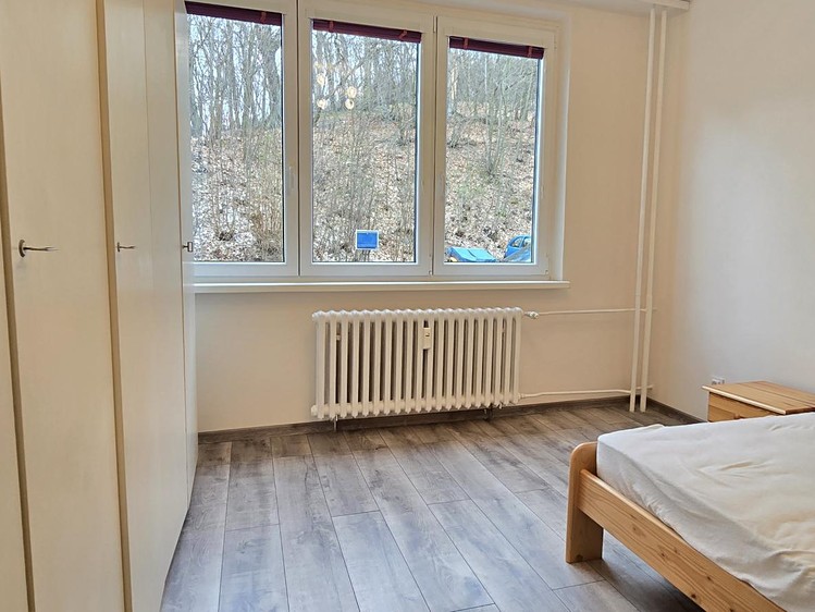 Pronájem bytu 3+1 66 m² (Jednopodlažní) - foto 4