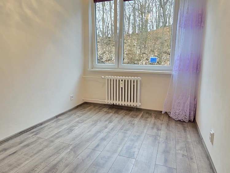 Pronájem bytu 3+1 66 m² (Jednopodlažní) - foto 7