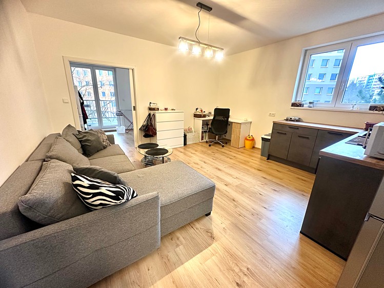 Pronájem bytu 2+kk 48 m² (Jednopodlažní) - foto 8