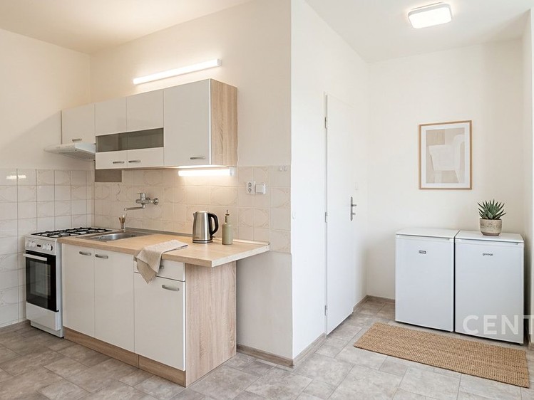 Pronájem bytu 2+1 58 m² - foto 6