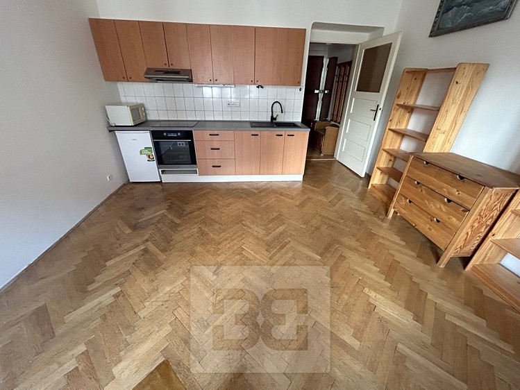 Pronájem bytu 1+kk 28 m² - foto 4