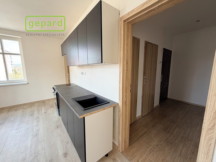 Pronájem bytu 1+1 49 m² - foto 2
