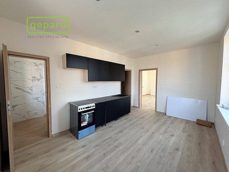 Pronájem bytu 1+1 49 m² - foto 1