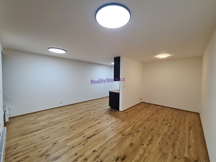 Pronájem bytu 1+kk 50 m² - foto 4
