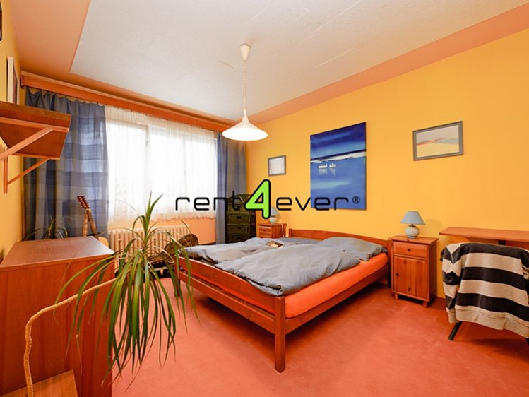 Pronájem bytu 2+1 55 m² - foto 1