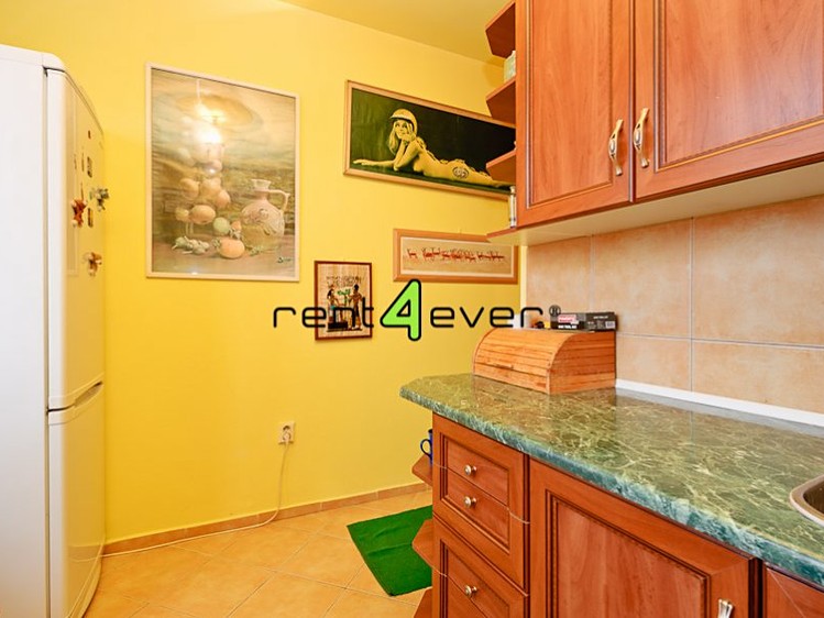 Pronájem bytu 2+1 55 m² - foto 6