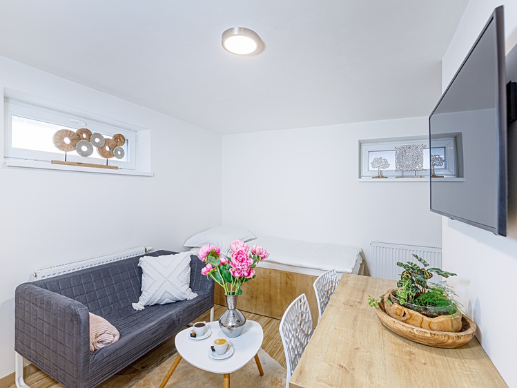 Pronájem bytu 1+kk 20 m² (Jednopodlažní) - foto 2