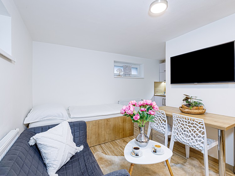 Pronájem bytu 1+kk 20 m² (Jednopodlažní) - foto 1