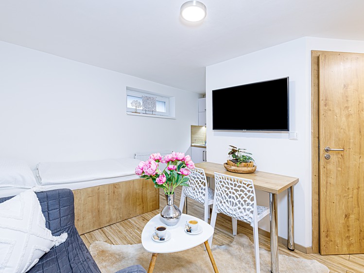 Pronájem bytu 1+kk 20 m² (Jednopodlažní) - foto 3