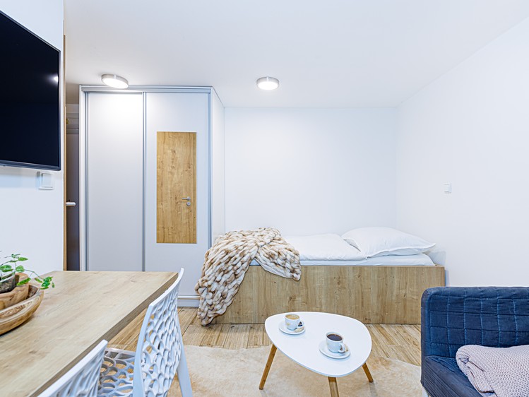 Pronájem bytu 1+kk 20 m² (Jednopodlažní) - foto 7