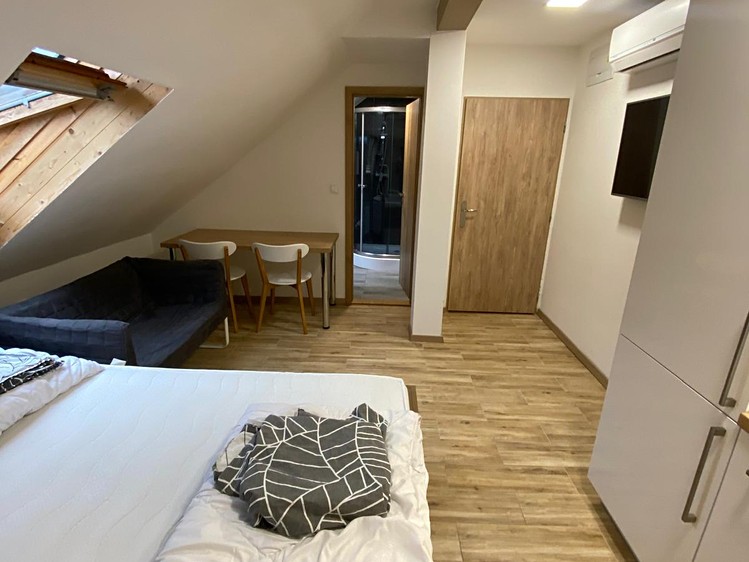 Pronájem bytu 1+kk 26 m² (Jednopodlažní) - foto 7