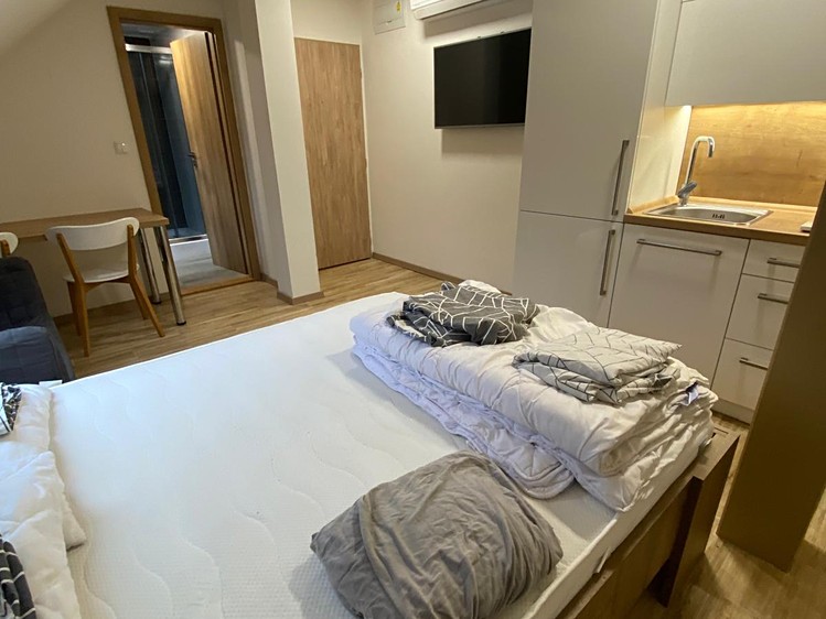 Pronájem bytu 1+kk 26 m² (Jednopodlažní) - foto 5