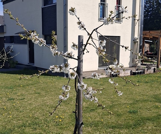 Prodej rodinného domu 110 m², pozemek 990 m² - foto 3