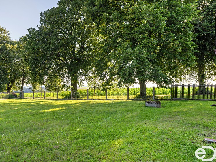 Prodej rodinného domu 253 m², pozemek 1 339 m² - foto 5