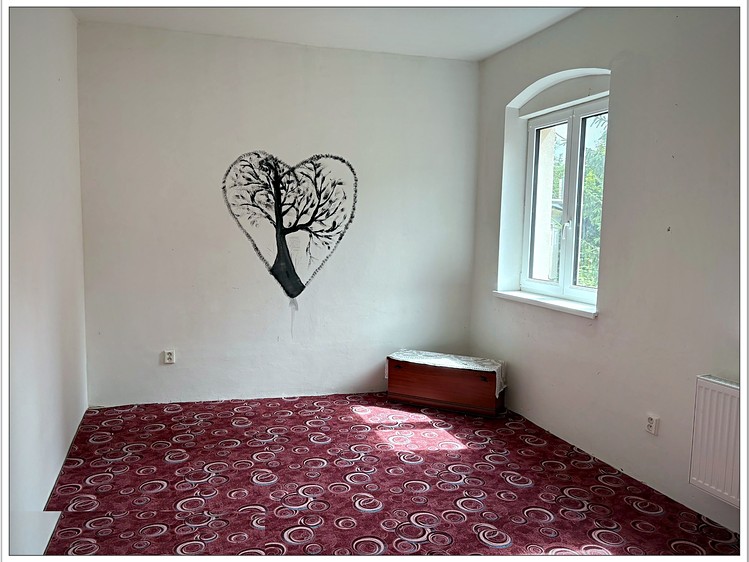 Prodej  vícegeneračního domu 300 m², pozemek 181 m² - foto 8