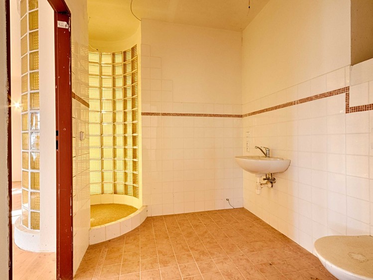 Prodej  rodinného domu 520 m², pozemek 2 024 m² - foto 4