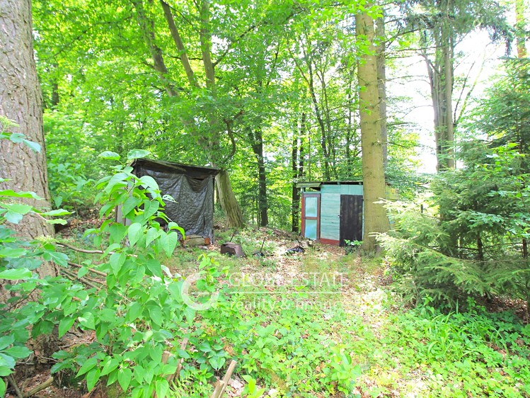 Prodej chaty 36 m², pozemek 591 m² - foto 4