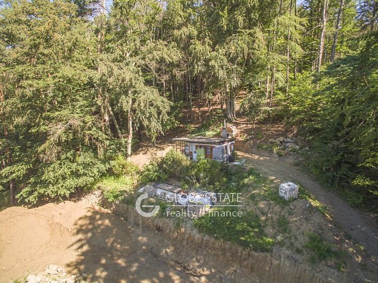 Prodej chaty 20 m², pozemek 11 807 m² - foto 5