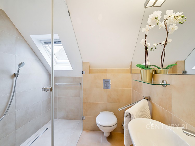 Prodej rodinného domu 330 m², pozemek 709 m² - foto 7