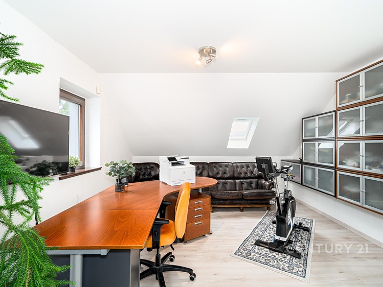 Prodej rodinného domu 330 m², pozemek 709 m² - foto 5