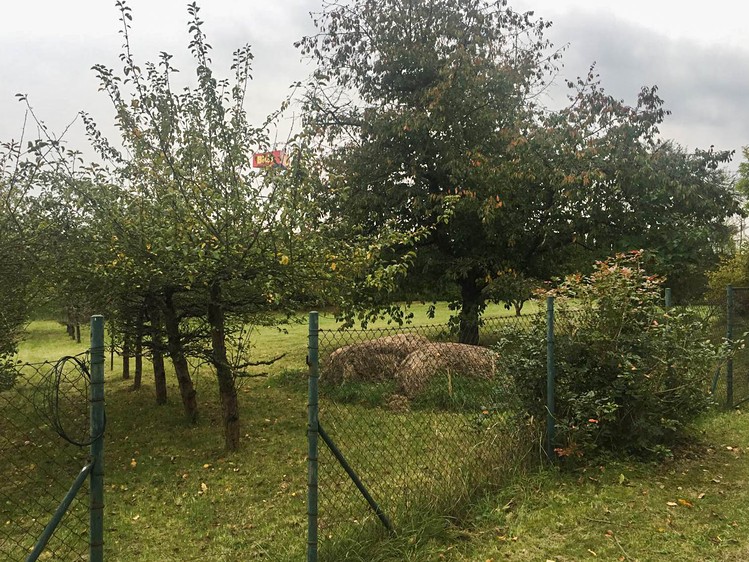 Prodej  rodinného domu 125 m², pozemek 2 744 m² - foto 6