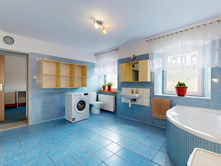 Prodej rodinného domu 313 m², pozemek 2 261 m² - foto 7