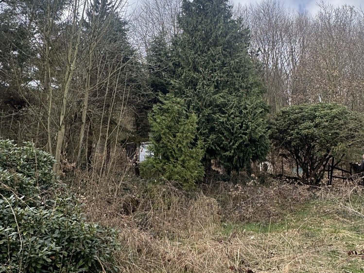 Prodej  chaty 16 m², pozemek 1 321 m² - foto 5
