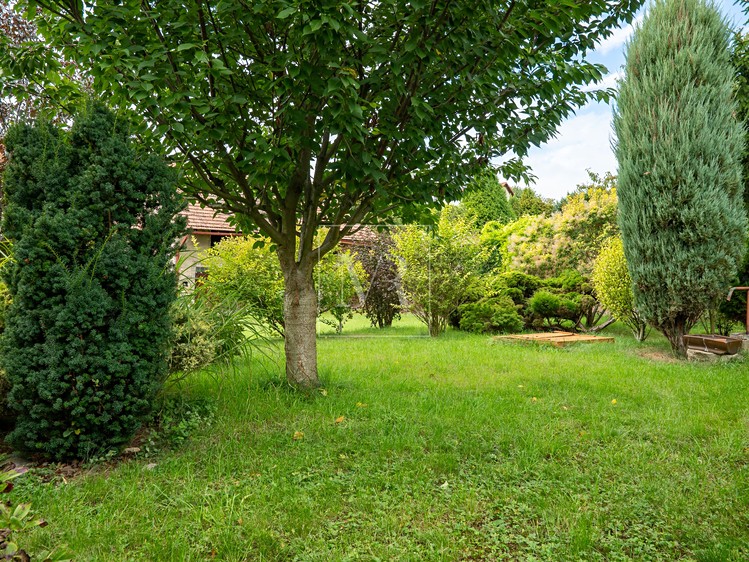 Prodej rodinného domu 105 m², pozemek 1 492 m² - foto 8
