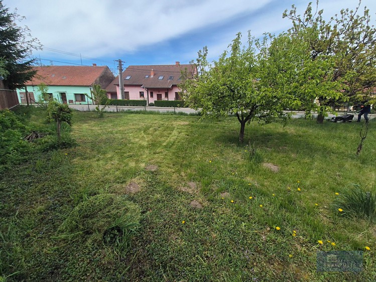 Prodej rodinného domu 135 m², pozemek 768 m² - foto 4