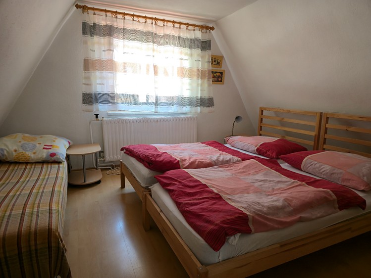 Prodej chalupy 236 m², pozemek 5 776 m² - foto 3
