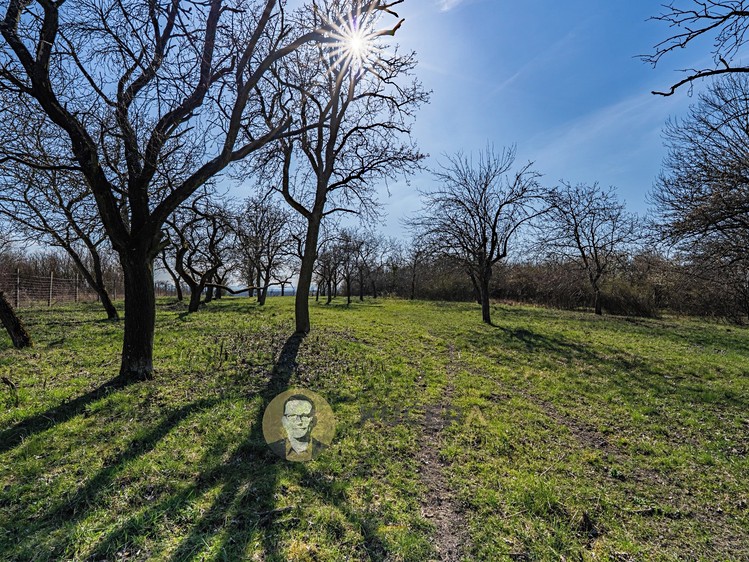 Prodej rodinného domu 100 m², pozemek 3 158 m² - foto 6