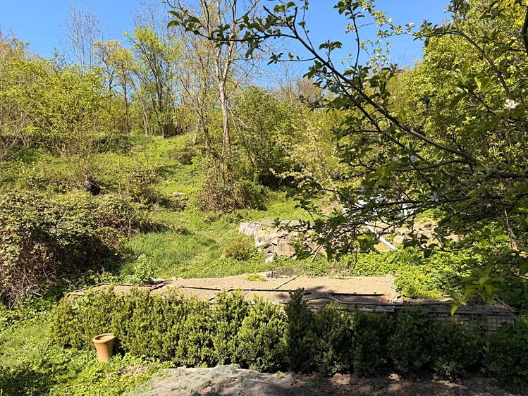 Prodej rodinného domu 220 m², pozemek 2 461 m² - foto 6