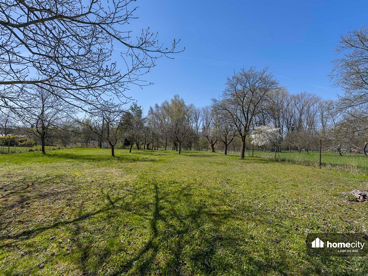 Prodej  rodinného domu 65 m², pozemek 2 312 m² - foto 8