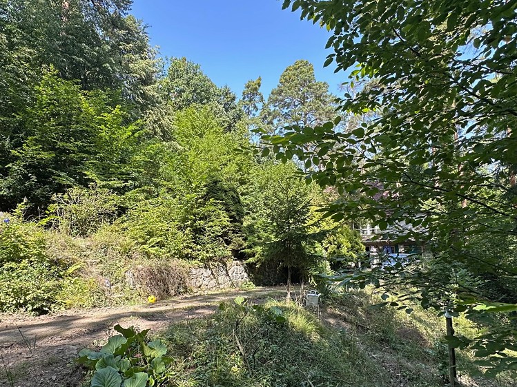 Prodej  chaty 150 m², pozemek 18 138 m² - foto 4